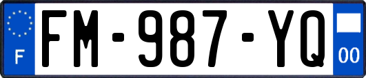 FM-987-YQ