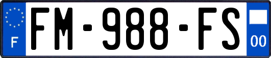 FM-988-FS