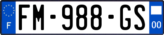 FM-988-GS