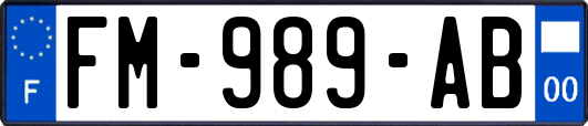 FM-989-AB