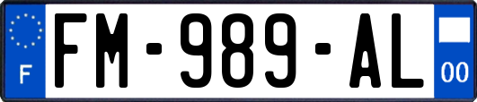 FM-989-AL