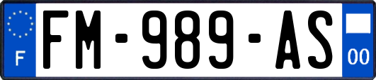 FM-989-AS