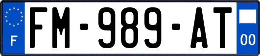 FM-989-AT
