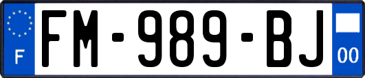 FM-989-BJ