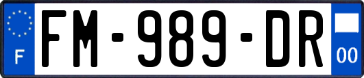 FM-989-DR
