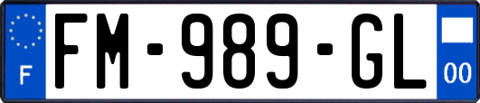 FM-989-GL