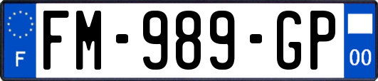 FM-989-GP