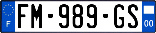 FM-989-GS