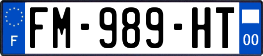 FM-989-HT