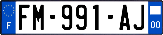 FM-991-AJ