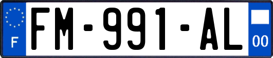 FM-991-AL