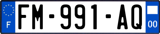 FM-991-AQ