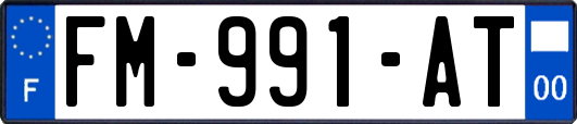 FM-991-AT