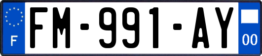 FM-991-AY