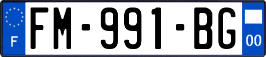FM-991-BG
