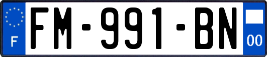 FM-991-BN