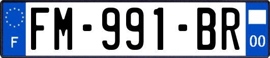 FM-991-BR