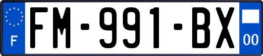 FM-991-BX