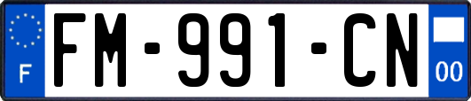FM-991-CN