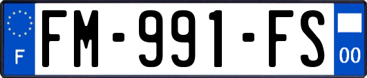 FM-991-FS