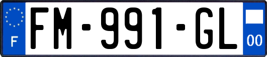 FM-991-GL