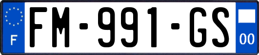 FM-991-GS