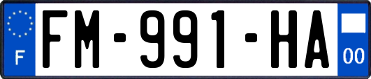 FM-991-HA