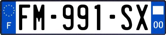 FM-991-SX