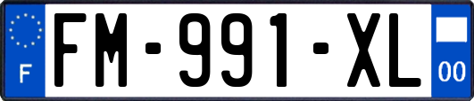 FM-991-XL