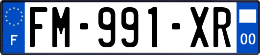 FM-991-XR
