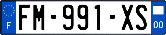 FM-991-XS