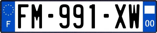 FM-991-XW