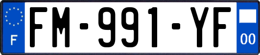 FM-991-YF