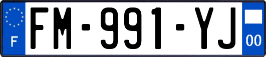 FM-991-YJ