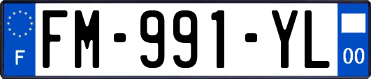 FM-991-YL