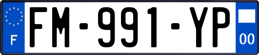 FM-991-YP