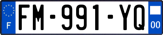 FM-991-YQ