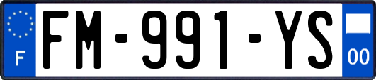 FM-991-YS