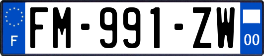 FM-991-ZW