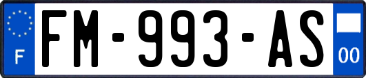 FM-993-AS
