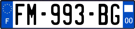 FM-993-BG