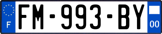 FM-993-BY