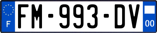 FM-993-DV