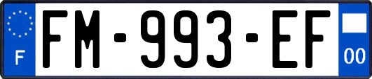 FM-993-EF