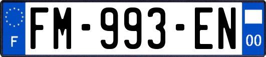 FM-993-EN