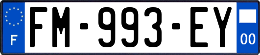 FM-993-EY