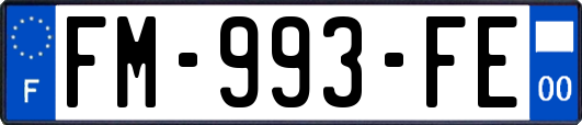 FM-993-FE