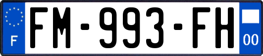 FM-993-FH