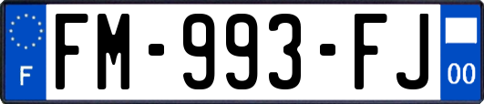 FM-993-FJ