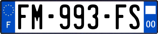 FM-993-FS